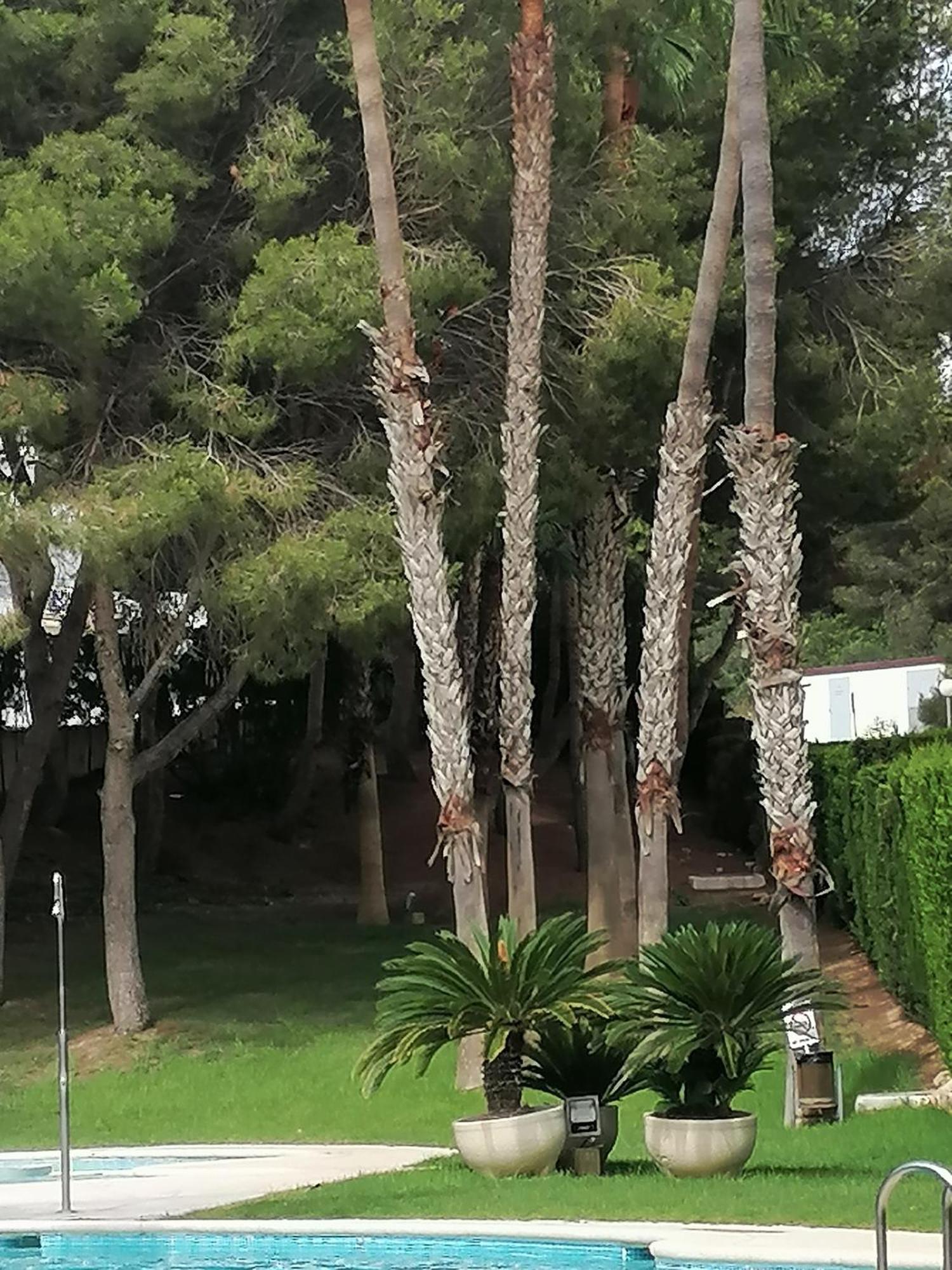 Campoamor Seaview Zewnętrze zdjęcie