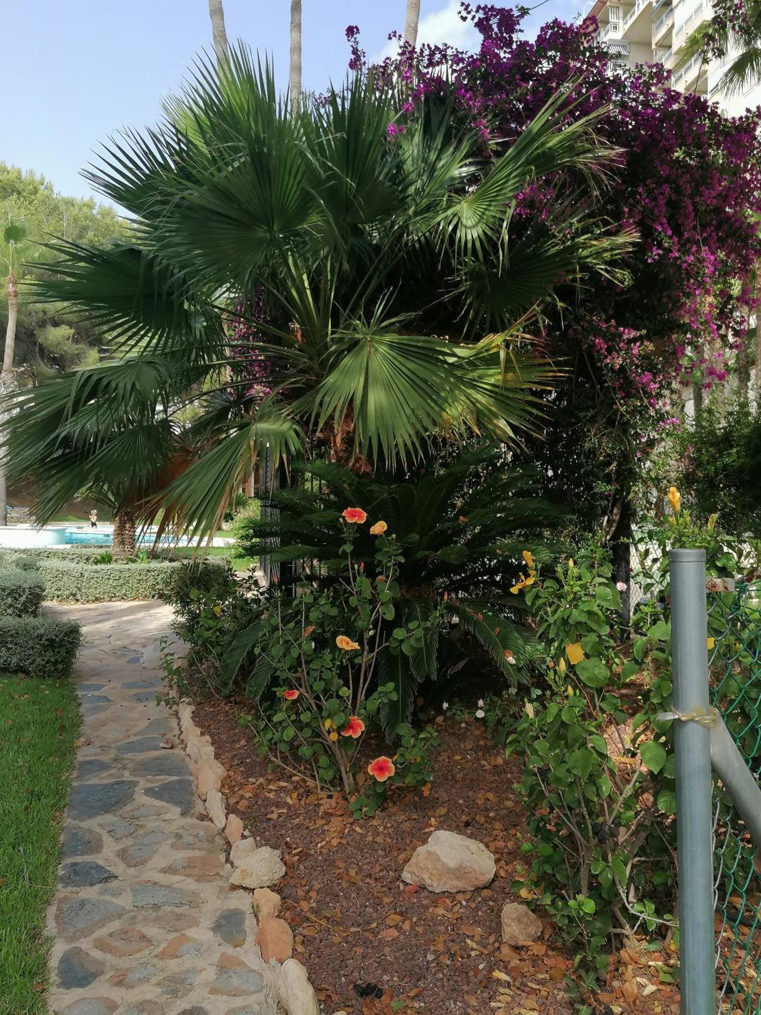 Campoamor Seaview Zewnętrze zdjęcie